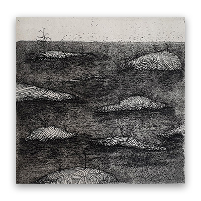 [2019] 11.05. 제소정 개인전 ‘던져진 존재들을 위한 위로’