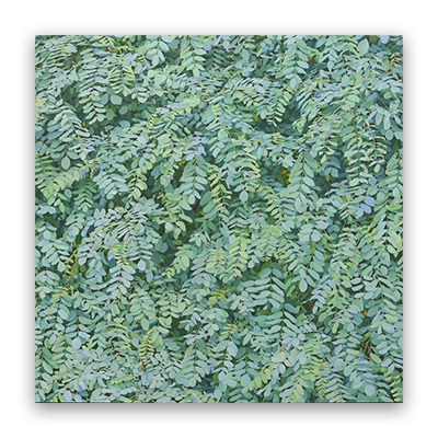 [2021] 10.19. 김재현 개인전 ‘멀리, 가까이’