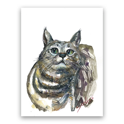 [2018] 11.20. 임소마 개인전 ‘오후 세시의 고양이’