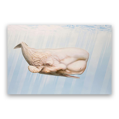 [2024] 12.31. 이병환 개인전 ‘소외자’